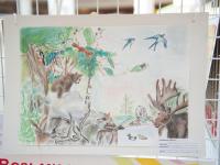 Конкурс детского рисунка по теме в мире животных - награждение победителей